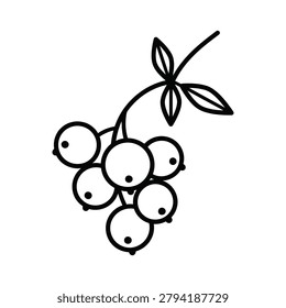 Currant Berry fruit icon line art vector isolated design