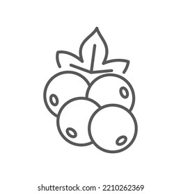 Currant berry line icon. linear style sign for mobile concept and web design. Currant with leaf outline vector icon. Symbol, logo illustration. Vector graphics
