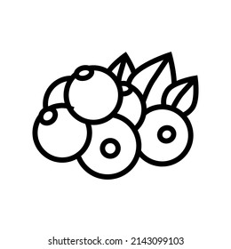 currant berry line icon vector. currant berry sign. isolated contour symbol black illustration