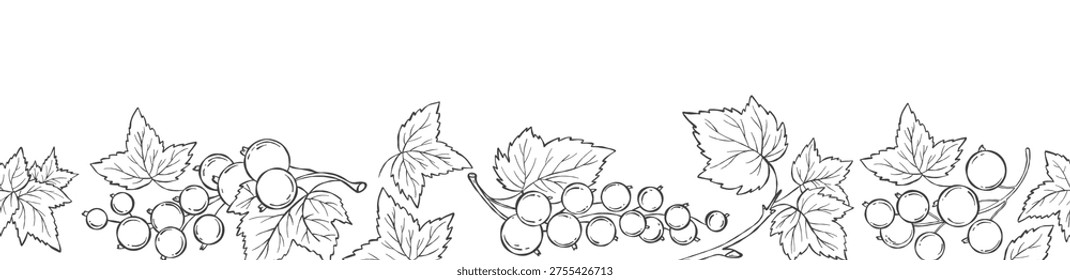 Currant Berry. Outline Botanical Seamless Border. Line Berry on White Background. Vector Horizontal illustration. Not AI