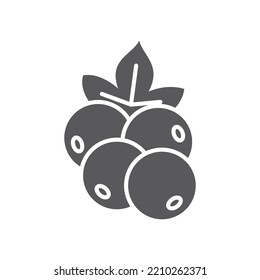 Currant berry pictogram icon. linear style sign for mobile concept and web design. Currant with leaf pictogram vector icon. Symbol, logo illustration. Vector graphics