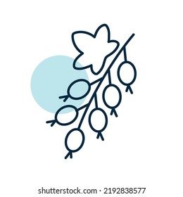 Currant berry vector icon. Graph symbol for food and drinks web site, apps design, mobile apps and print media, logo, UI