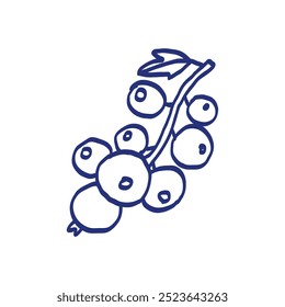 Currant. Berry vector illustration. Hand drawn sketch. Blue pen or marker drawing. Primitive kids picture.