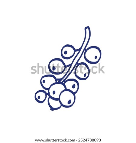Currant berry vector illustration. Hand drawn sketch. Blue pen or marker drawing. Primitive kids picture.