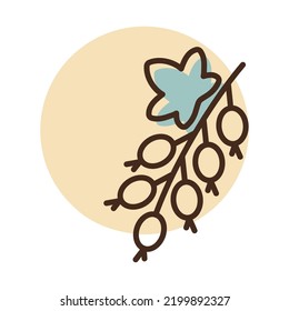 Currant berry vector isolated icon. Graph symbol for food and drinks web site, apps design, mobile apps and print media, logo, UI