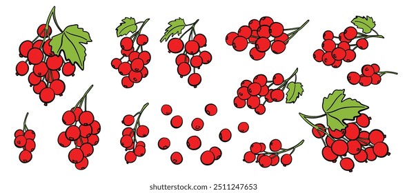 Currant branch icon set. Colored vector fruit sign illustration for brochures, banners, restaurant and market menus