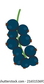 Currant branch icon. Vector illustration
