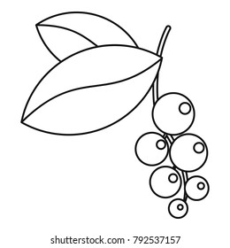 Currant branch with leaves icon. Outline illustration of currant branch with leaves vector icon for web