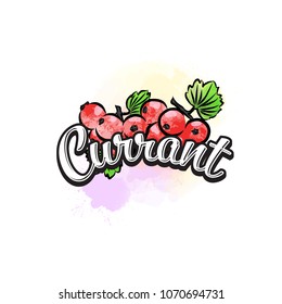 Currant colorful label sign. Vector drawing for advertising. Fresh design of colorful fruits made in watercolor style. Modern illustration on white background.