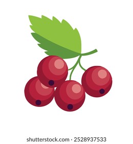 
Currant fruit flat vector illustration on white background.