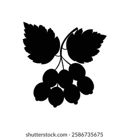 Currant Fruit Silhouette Vector | Black and White Currant Illustration and Design