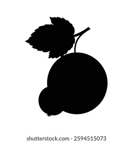 Currant Fruit Silhouette Vector | Black and White Currant Illustration and Design