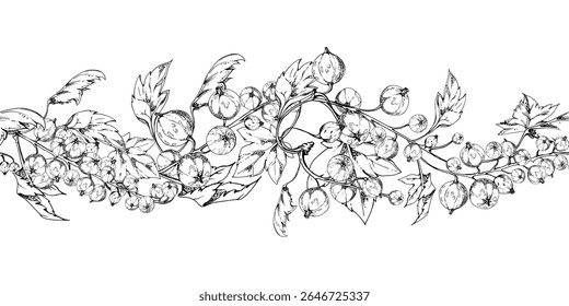 Currant gooseberry clusters with leaves, ripe berry juneberry casseille jostaberry, hand drawn in vector ink. Isolated seamless banner border garland for dessert menu, eco farmers market, gardening