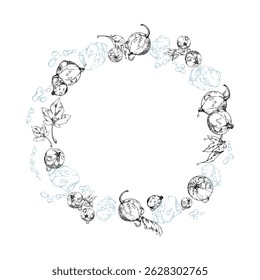 Currant gooseberry flying in water splash with green leaves, ice cubes, dew drops, ripe garden berry juneberry casseille jostaberry hand drawn in vector ink. Isolated wreath frame. Fresh grocery store