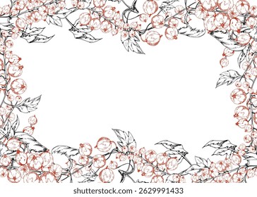 Currant gooseberry, green leaves on branch, hand drawn in vector ink, ripe garden berry juneberry casseille jostaberry cluster group. Isolated border frame. Vegan grocery shop recipe cards cookbook