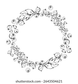 Currant gooseberry with leaves cluster bunch on stem, ripe garden berry casseille juneberry jostaberry, vector ink hand drawn. Isolated wreath frame crown. Cookbook, grocery store, gardening guides