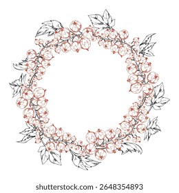 Currant gooseberry with leaves cluster bunch on stem, ripe garden berry casseille juneberry jostaberry, vector ink hand drawn. Isolated wreath frame crown. Home preserves cookbook, grocery food store
