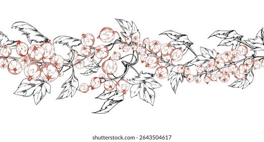 Groselha espinhosa de groselha com folhas em aglomerados, jostaberry de juneberry de bagas maduras, mão desenhada em tinta vetorial. Isolado sem emenda bandeira borda grinalda. Cardápio de sobremesa, mercado de eco-agricultores, jardinagem.