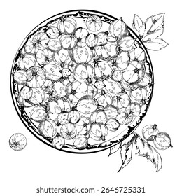 Krenten kruisbes bladeren op keramische schaal, met de hand getekend in vector inkt, rijp geplukte tuin bessen oogst, casseille jostaberry. Geïsoleerde illustratie. Voedselblogs, kookboek, dessertmenu, boerenmarkt