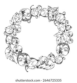 Currant gooseberry with leaves in water dew drops, ripe garden berry juneberry casseille jostaberry hand drawn in vector ink. Isolated wreath frame crown. Organic food drink, fresh eco grocery store