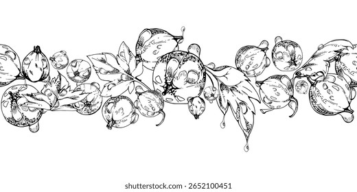 Currant gooseberry, leaves in water dew drops hand drawn in vector ink, scattered ripe garden berry. Seamless isolated banner garland. Home preserves, textile catalog, food store decor, recipe book