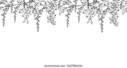 Currant gooseberry with long flower clusters on branch, leaves, ripe garden berry juneberry casseille jostaberry. Hand drawn in vector ink. Isolated seamless banner border. Cafe menu, farmers market