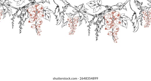 Currant gooseberry with long flower clusters on branch, leaves, hanging ripe garden casseille berry jostaberry. Isolated seamless banner border garland hand drawn in vector ink. Menu, farmers market