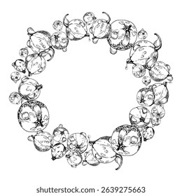 Currant gooseberry in water dew drops, ripe garden berry huckleberry juneberry casseille jostaberry hand drawn in vector ink. Isolated wreath frame crown. Organic food drink, fresh eco grocery store