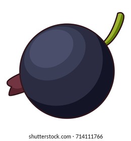 Currant icon. Cartoon illustration of currant vector icon for web