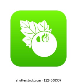 Currant icon green vector isolated on white background