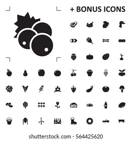 currant icon illustration isolated vector sign symbol