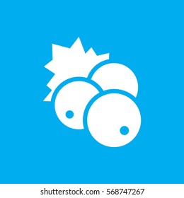 currant icon illustration isolated vector sign symbol
