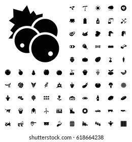 Currant icon illustration isolated vector sign symbol. agriculture icons vector set on white background.