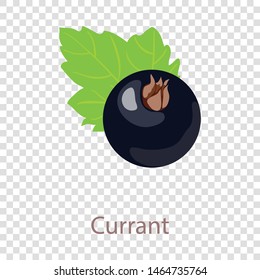 Currant icon. Isometric illustration of currant vector icon for web