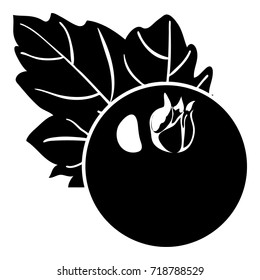 Currant icon. Simple illustration of currant vector icon for web design isolated on white background