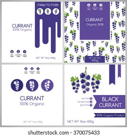 Currant label set. Collection of fruits covers for package design.