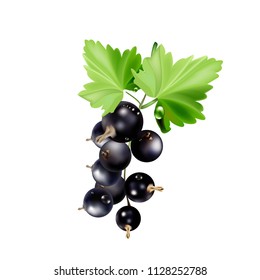 
Currant with leaves and drops.