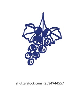 Currant. Natural healthy food. Vector berry. Hand drawn sketch. Blue pen or marker drawing. Primitive kids picture.