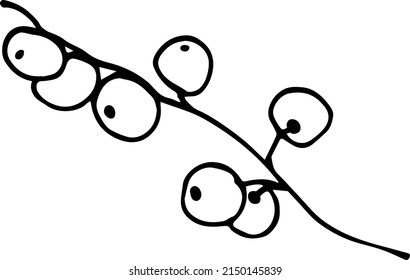Currant on a white background