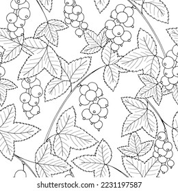 Currant plant seamless pattern background graphic black white sketch illustration vector 