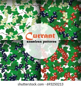 Currant seamless pattern collection vector set