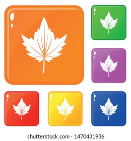 Currant tree leaf icons set collection vector 6 color isolated on white background