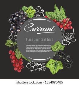currant vector hand drawn healthy food illustration. Fruit design with sketch elements for banner, greeting card	