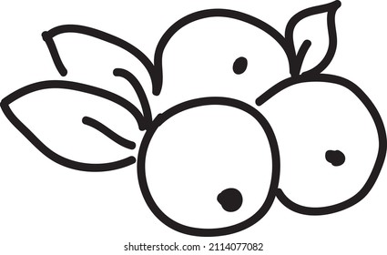 currant vector icon illustration design..eps