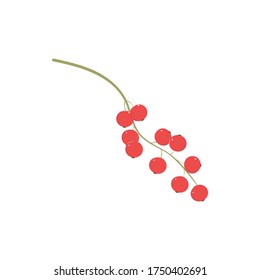 Currant. Vector illustration of flat style
