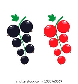 currant vector illustration. red and black berries on white background.