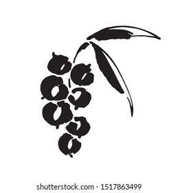 Currant vector sketch icon isolated on background. Hand drawn ink brush illustration. Currant sketch icon for infographic, website or app.