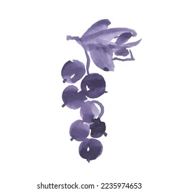 Currant vector sketch icon isolated on background. Hand drawn watercolor brush illustration. Currant sketch icon for infographic, website or app.