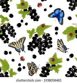 Johannisbeeren und Schmetterlinge im Muster. Zweige aus schwarzem Johannisbeeren und mehrfarbigen Schmetterlingen auf weißem Hintergrund in einem Vektormuster.
