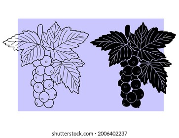 Currants on a branch with leaves. Vector	